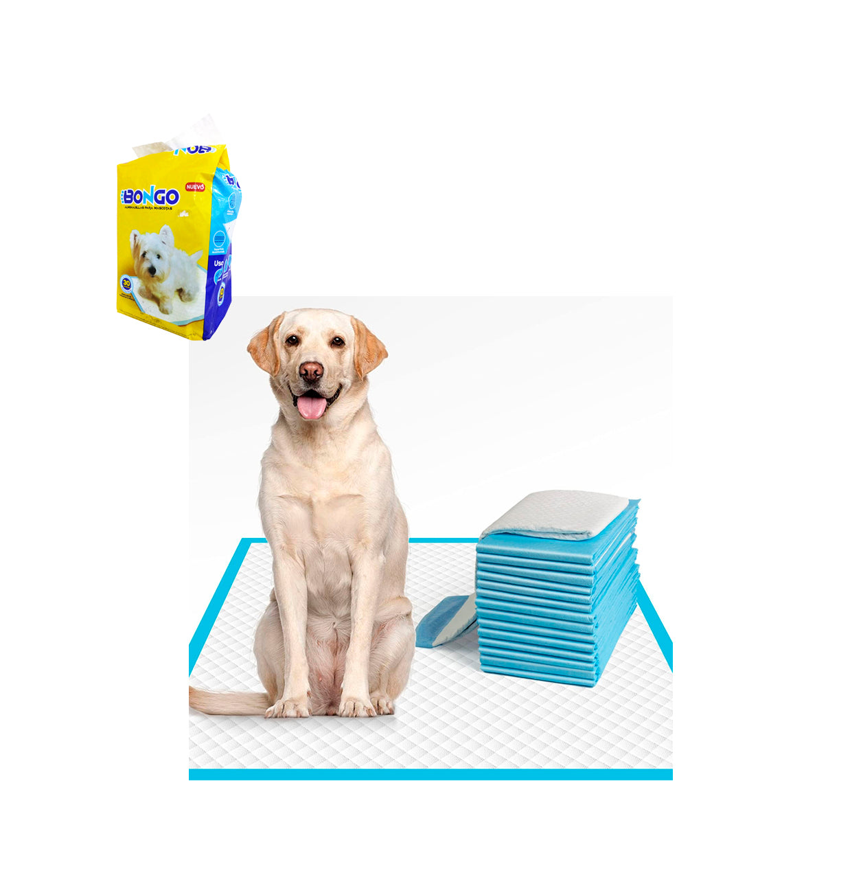 Almohadillas 55x55CM 30PCS