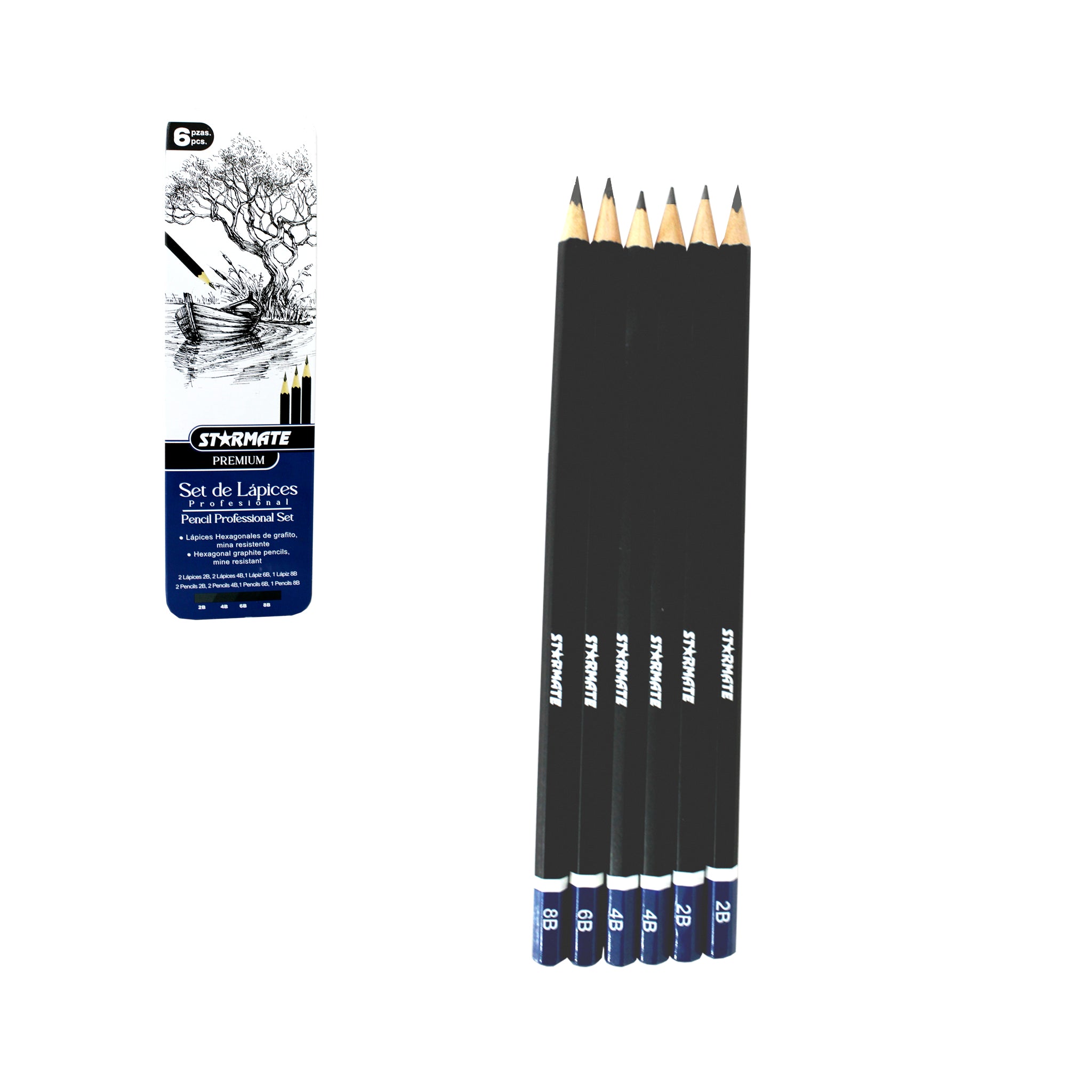 Lápiz Profesional 6PCS